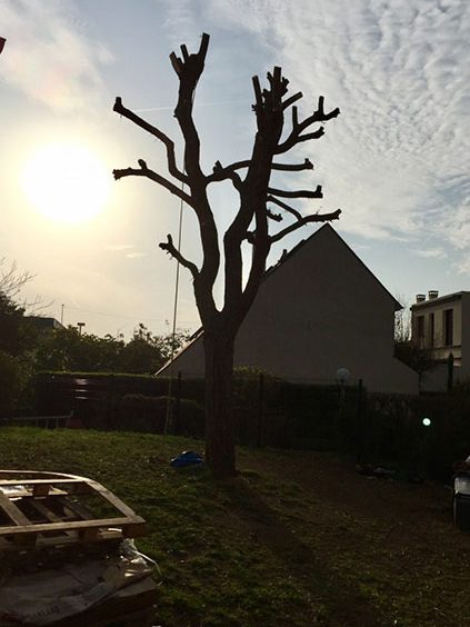 Élagage Abattage à Chatou Yvelines 78